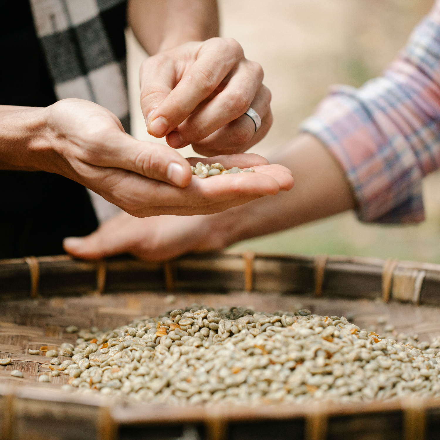 Why Micro-Lot and Single-Origin Coffee Matters