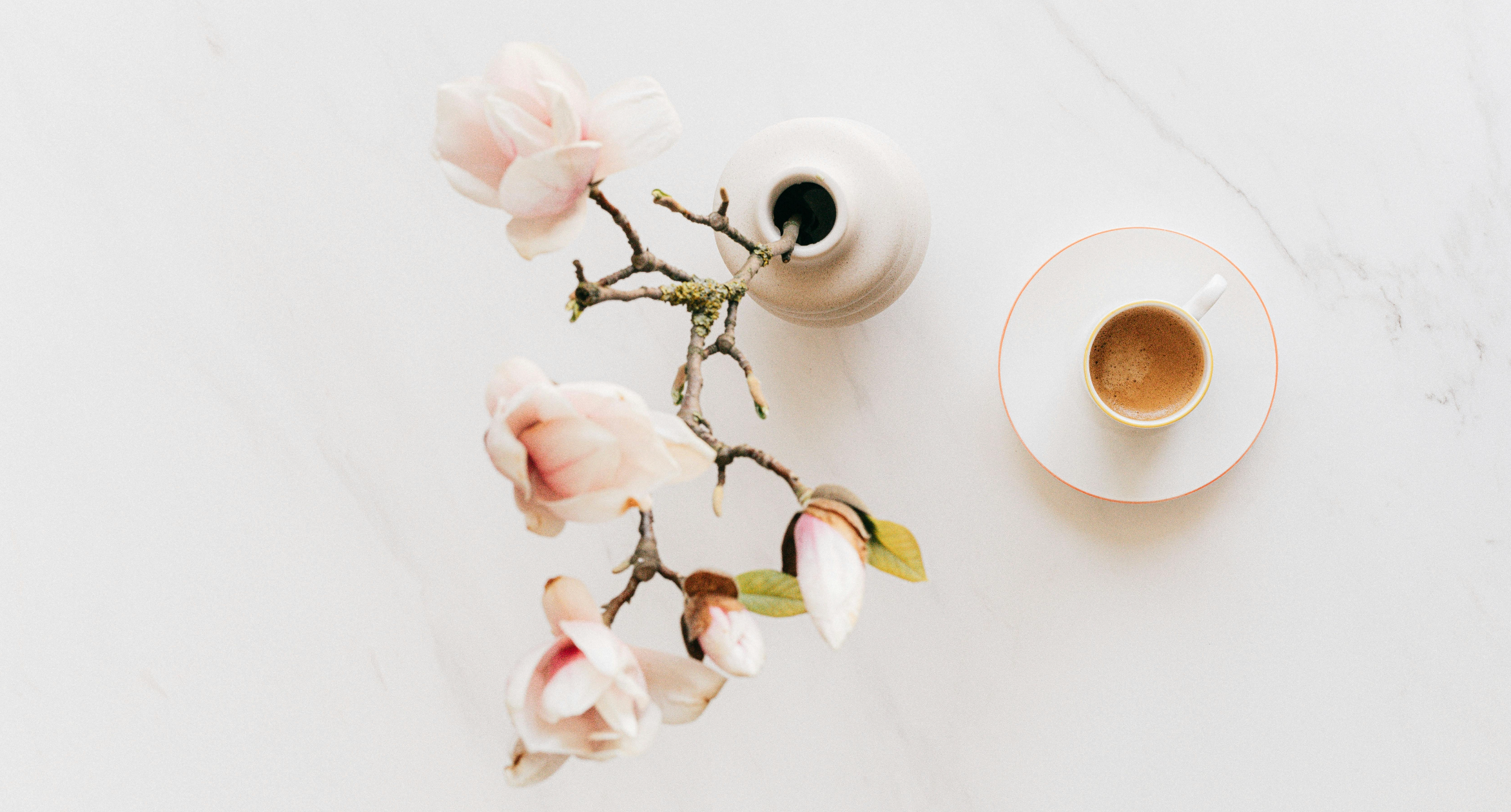 Spring Recipes to Bloom Your Coffee Routine