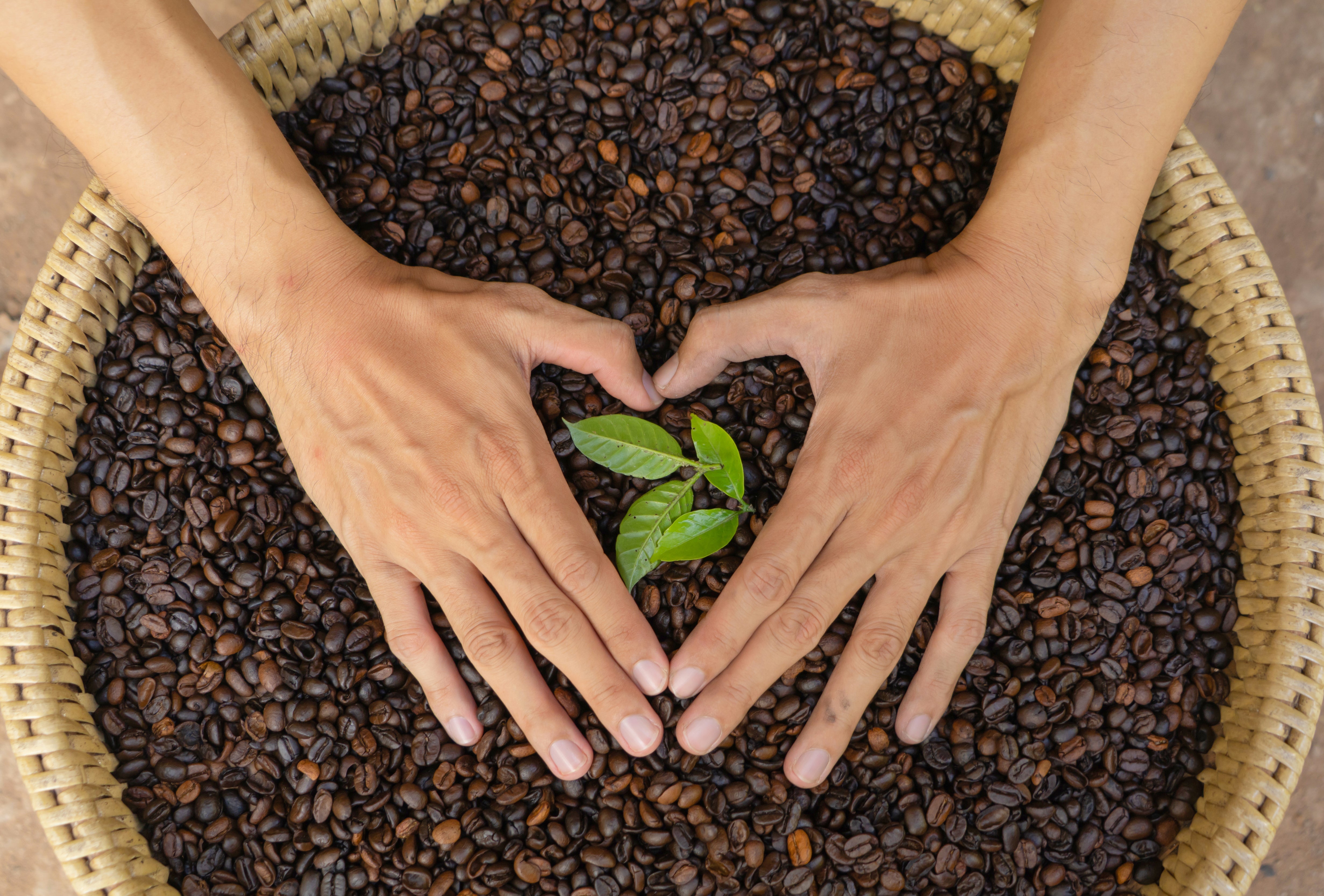 5 Ways to Go Green with Your Coffee Ritual
