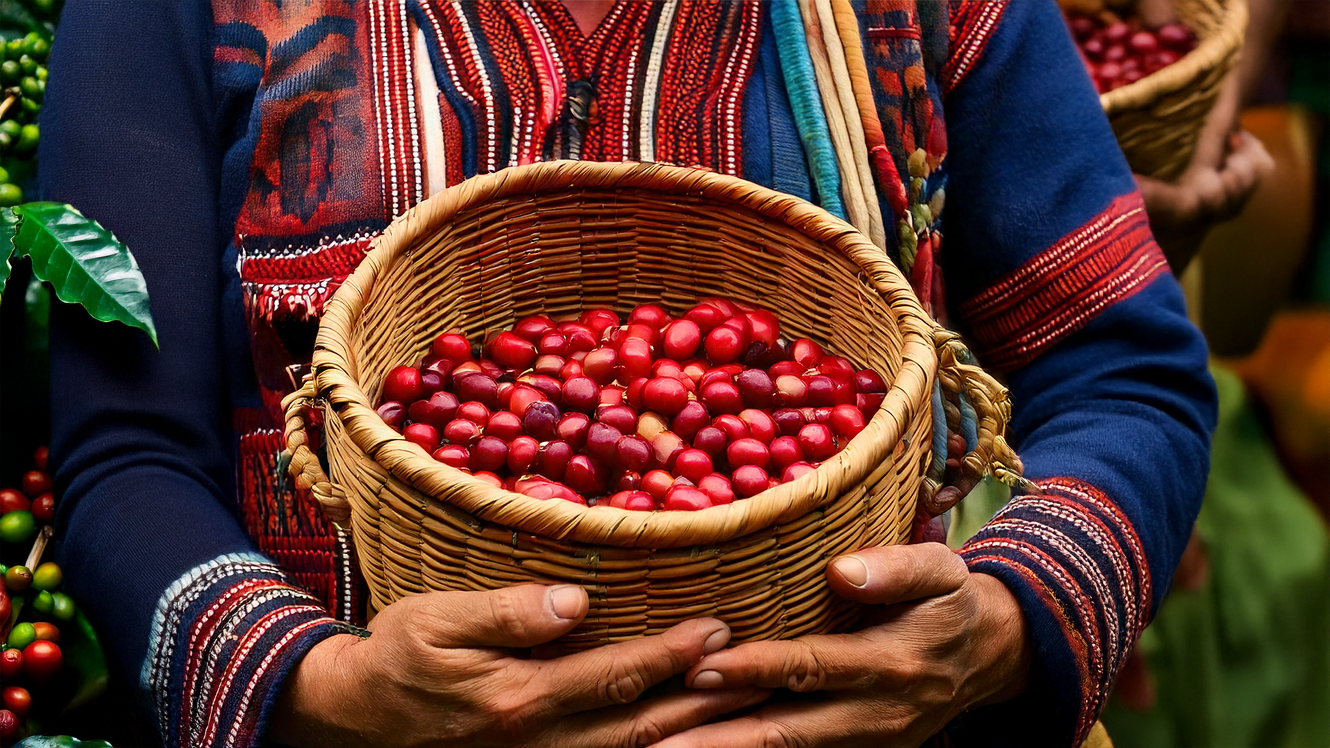 The Origins of Opaqa Amelia’s Blossom: Culture & Craft - Opaqa Coffee