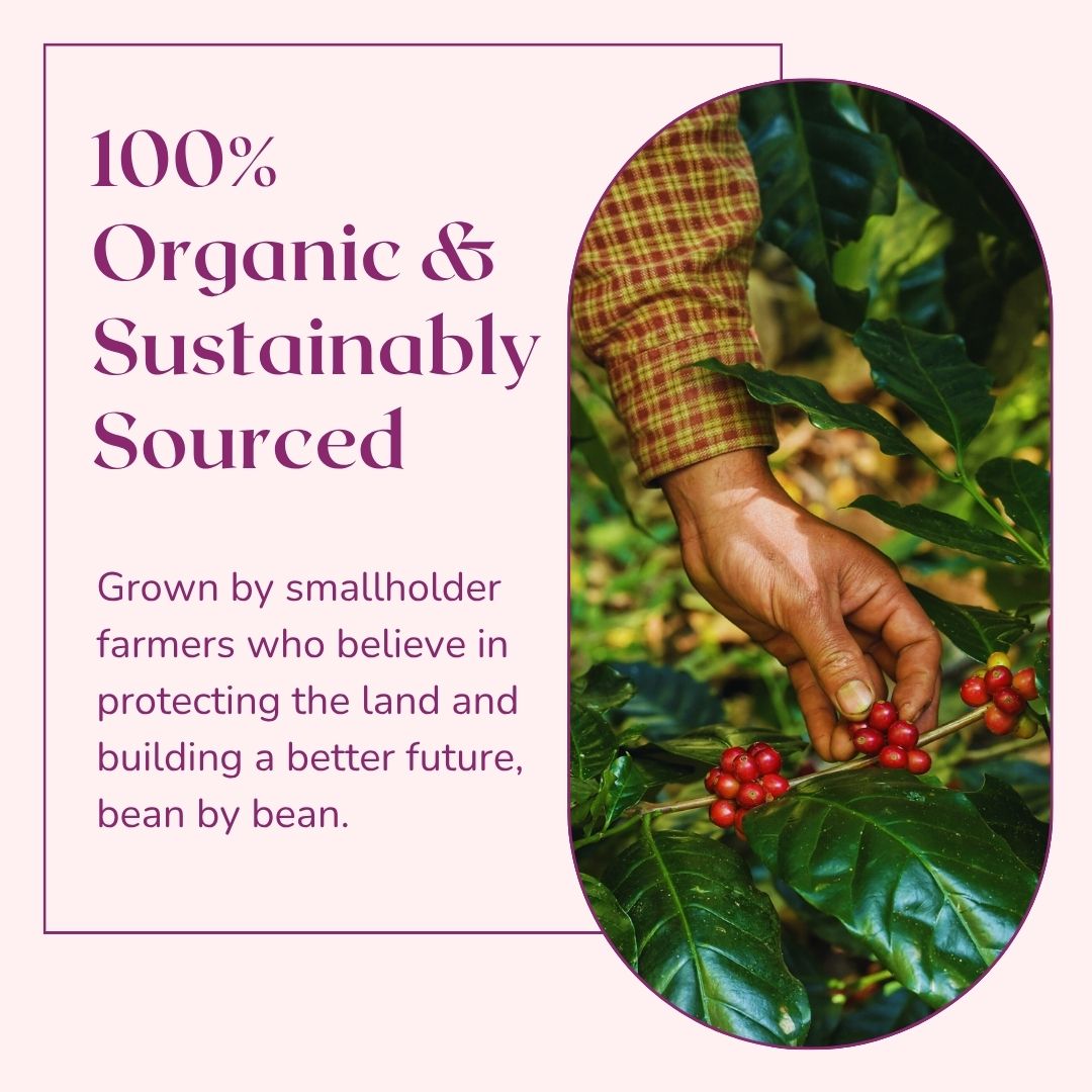 Specialty Honduras Organic Coffee, Opaqa Honduran Splendor