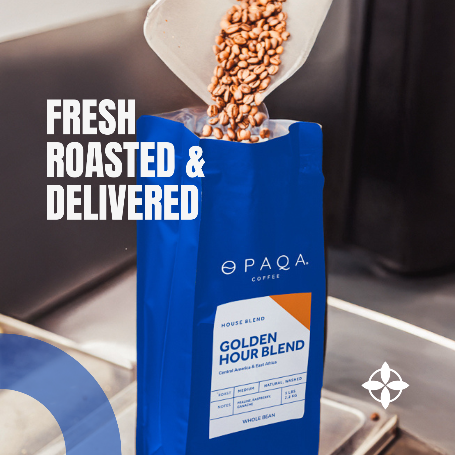 Opaqa’s Business Subscription | Connected Team Plan for Growing Teams