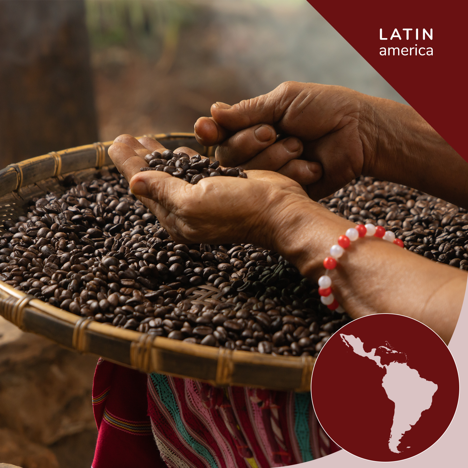 Person holding coffee beans with a basket full of coffee beans, set against a blurred natural background.