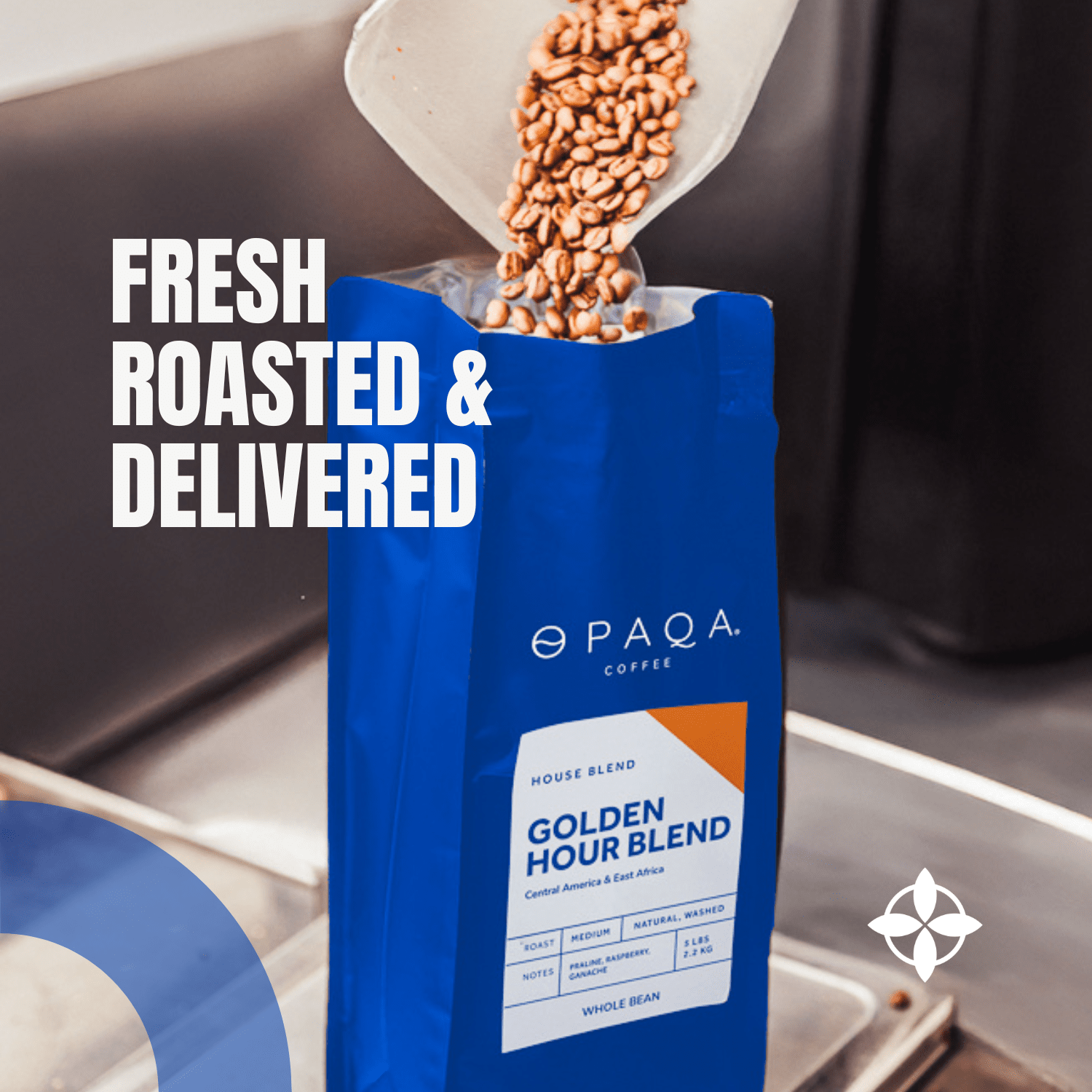 Opaqa’s Business Subscription | Connected Team Plan for Growing Teams - Opaqa Coffee