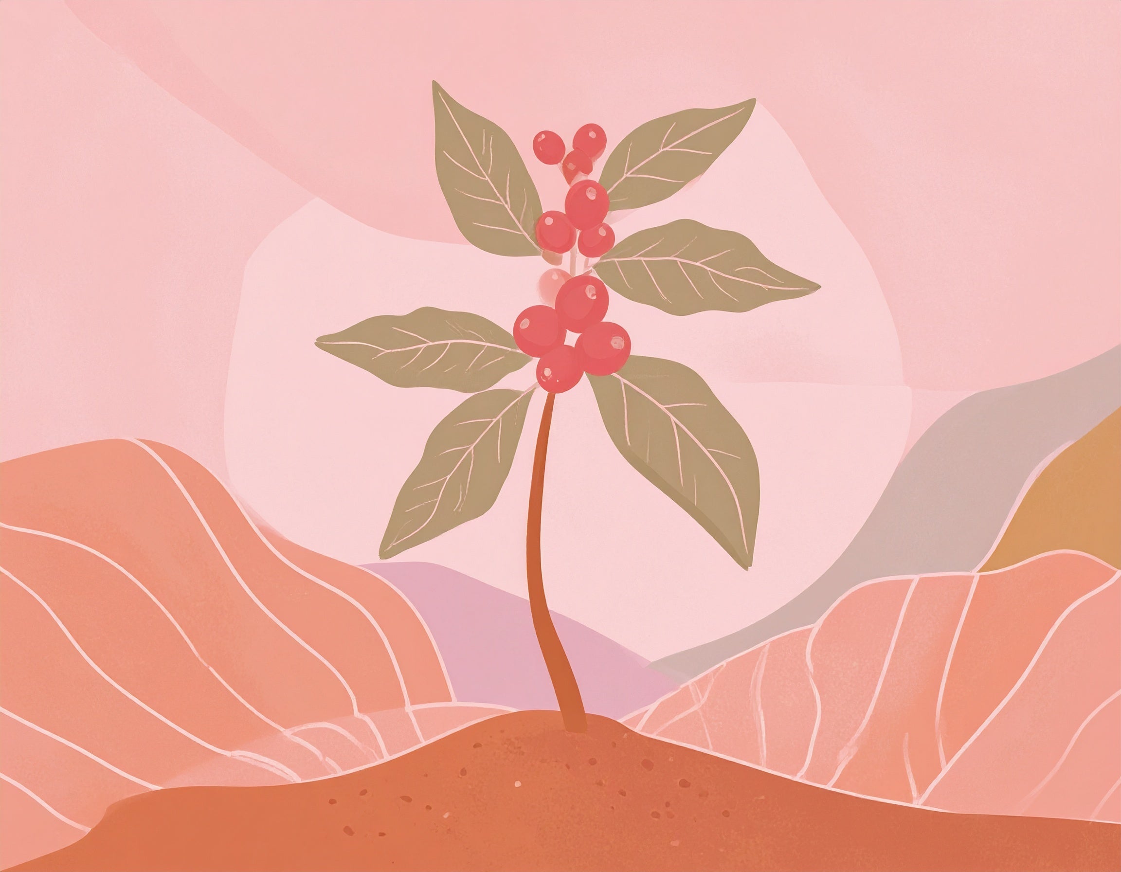 How We Ensure Sustainability in Every Sip - Opaqa Coffee