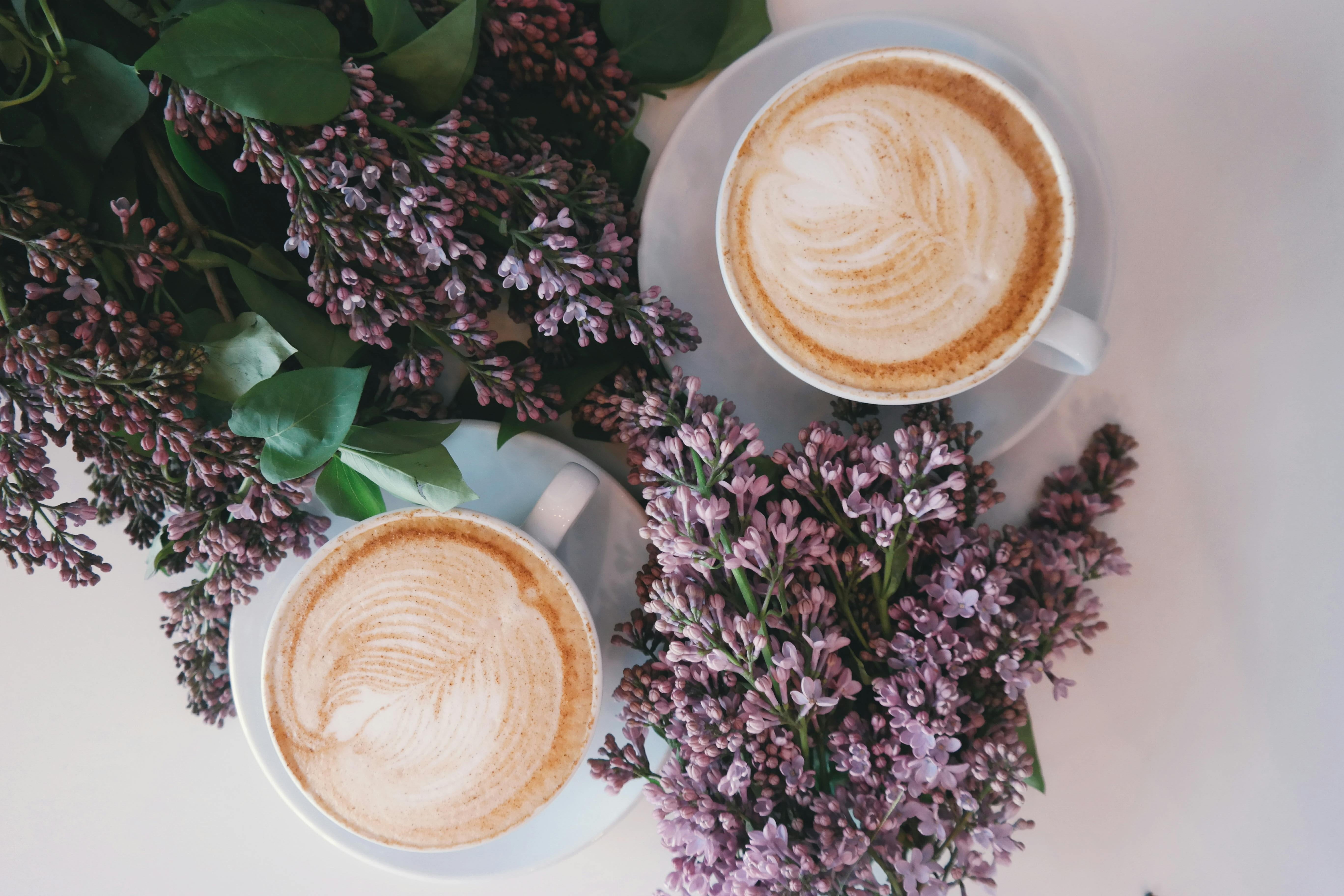 Spring Coffee Drink Ideas: 5 Fresh Spring Latte & Coffee Recipes - Opaqa Coffee