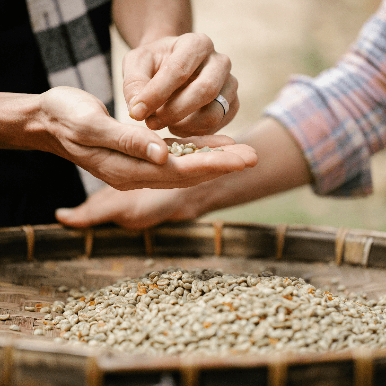 Why Micro-Lot and Single-Origin Coffee Matters - Opaqa Coffee