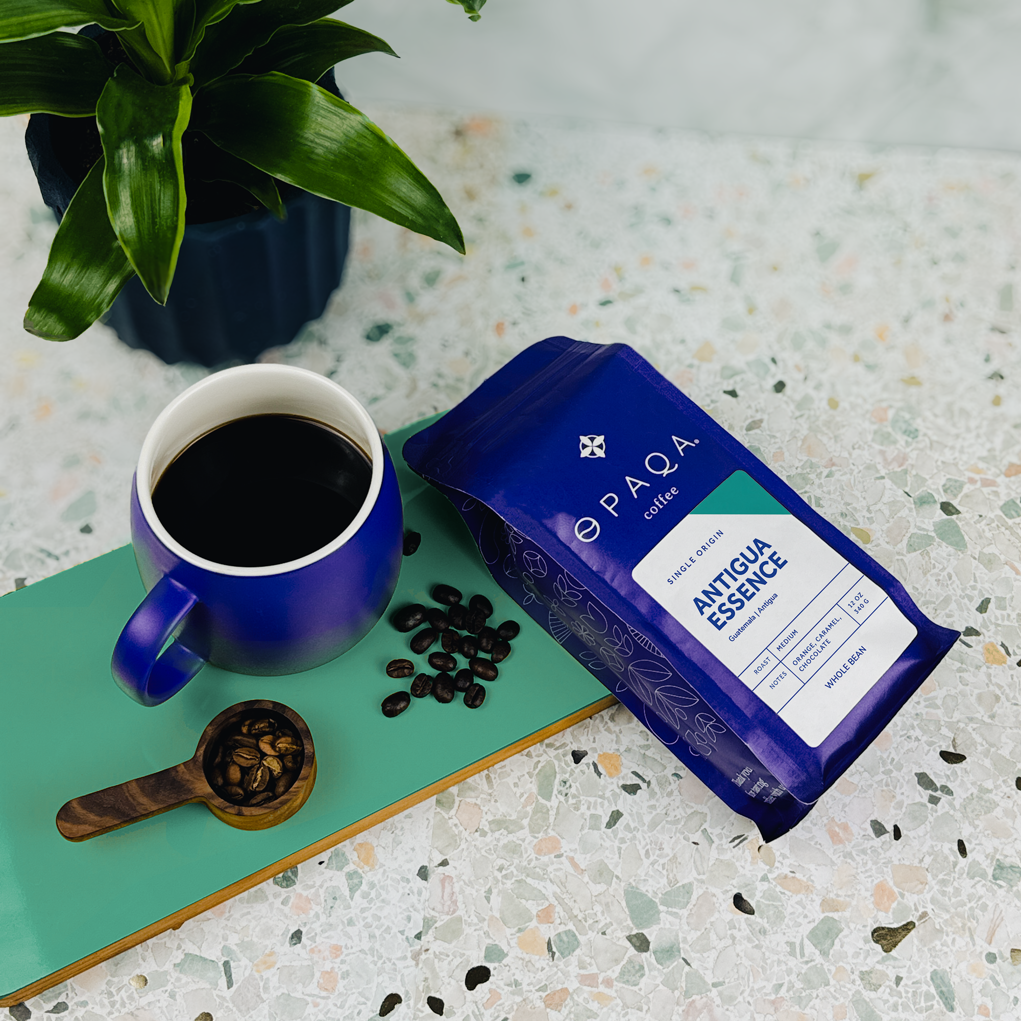 Antigua Essence coffee bag placed with a cup of black coffee, beans, and a green potted plant